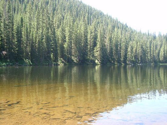 Beaver Lake Trail景点图片