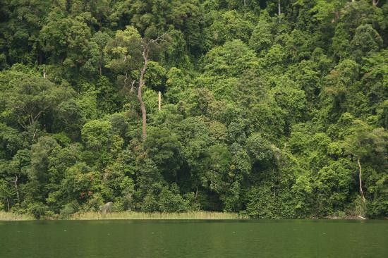 孕妇湖-Pulau Dayang必去景点