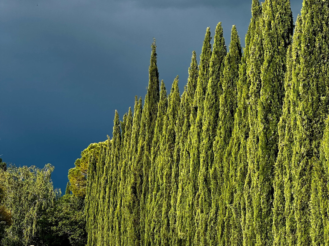 Hôtel La Perna主图