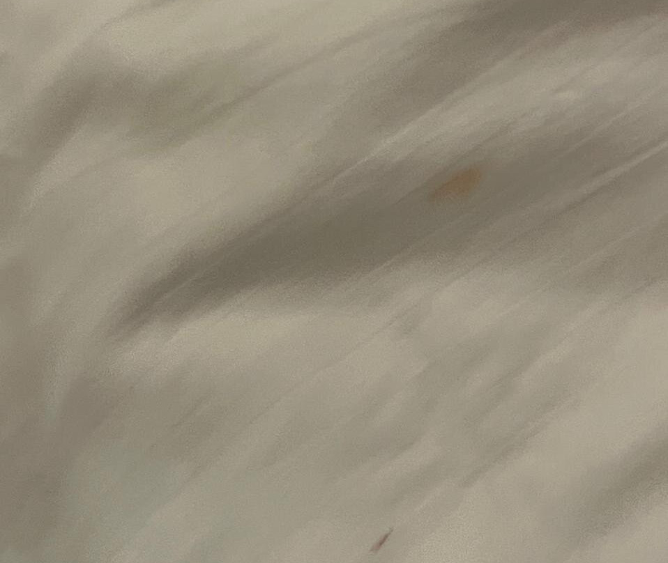 The Woods : An Orchard Retreat主图