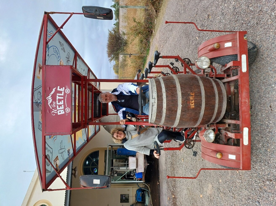 WineBeetle-Coquimbito必去景点