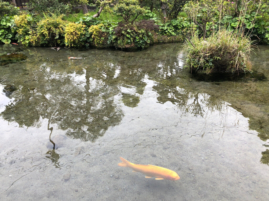 Yusui Garden Shimeisou-岛原市必去景点