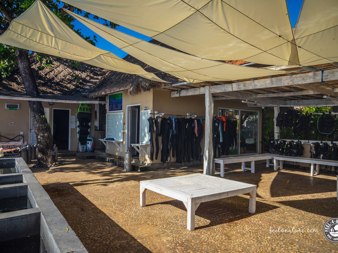 托奇码头图兰度假村&Spa主图