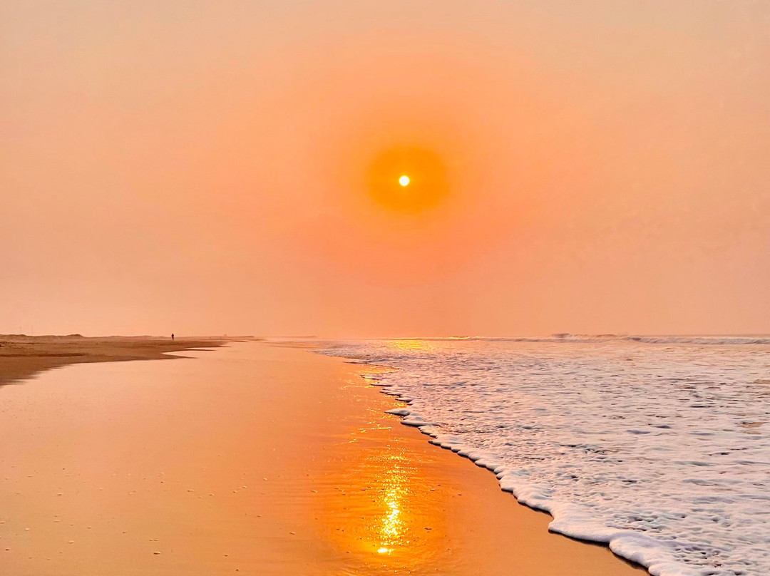 Paradeep Sea Beach景点图片