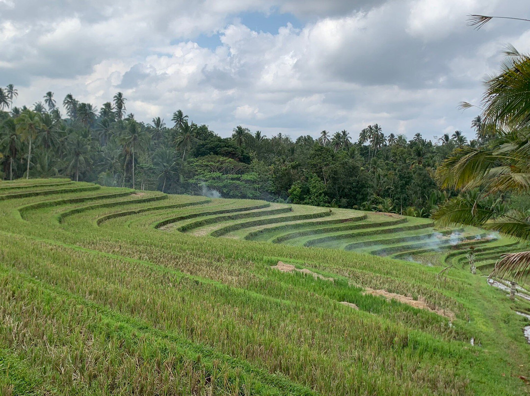 Amarta Pesagi Retreat by Madhava主图