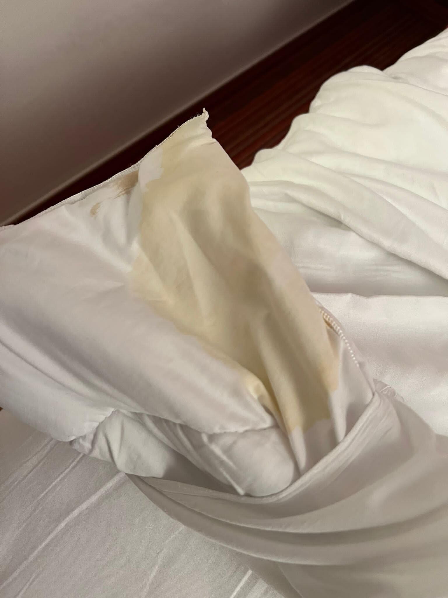 Ace Hotel Paris Marne La Vallee-官方