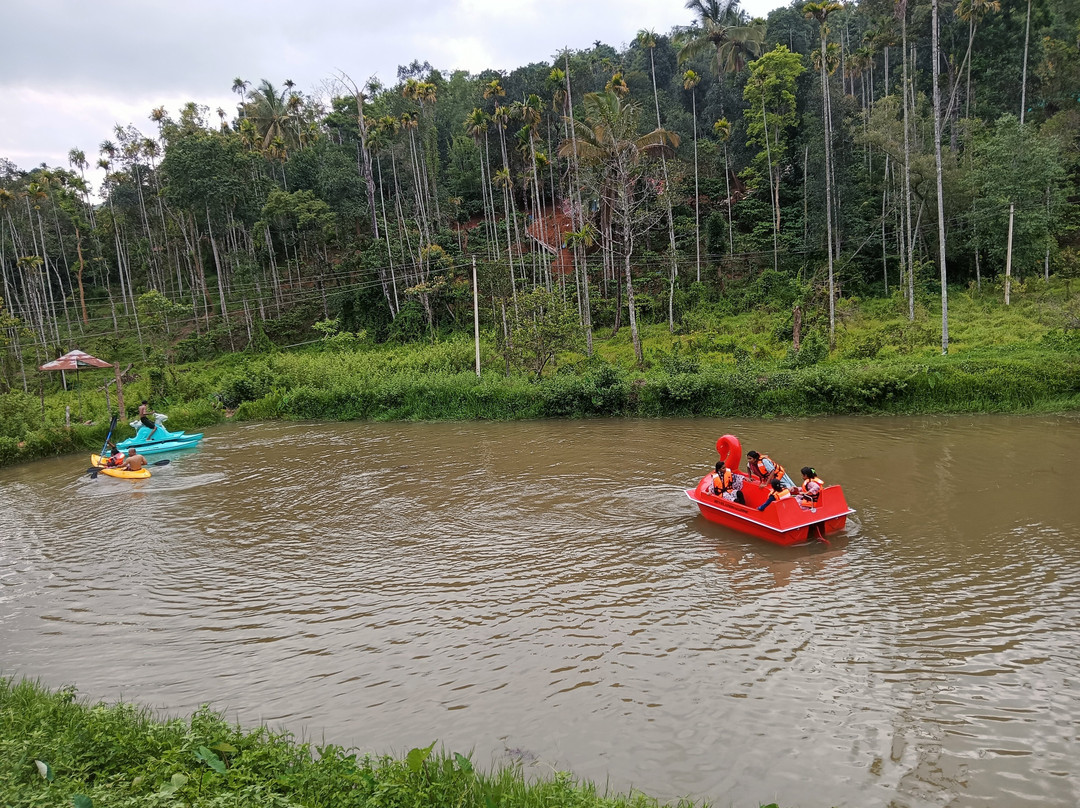 Jungle Valley Resort