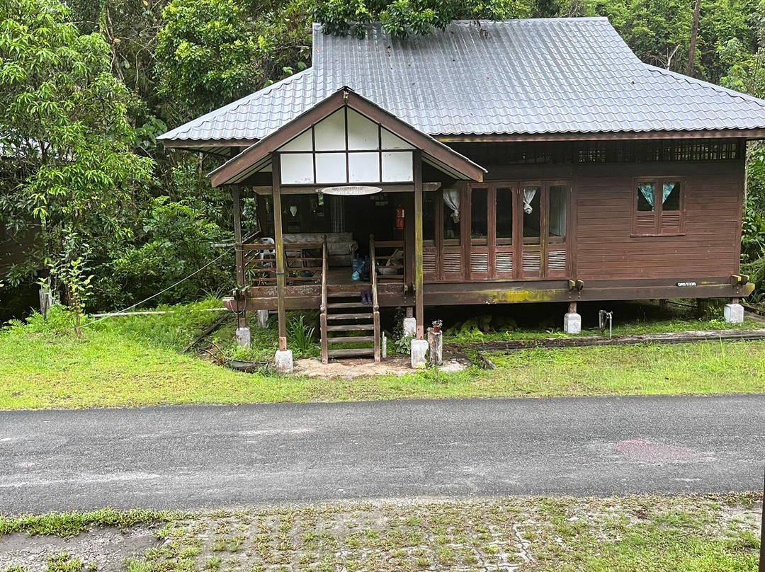 The Great Orangutan Project-古晋必去景点