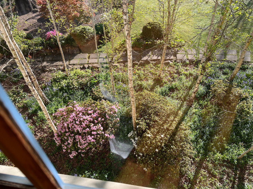 胡椒玛诺屋主图