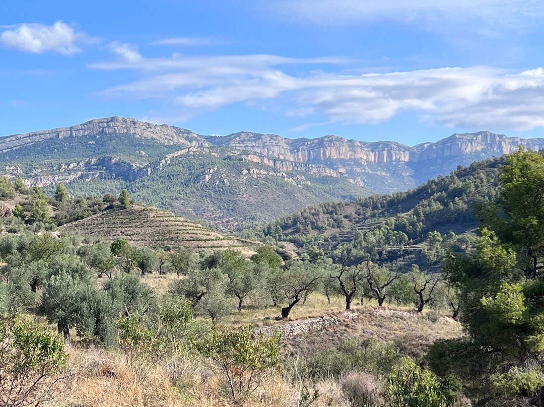 Travel Priorat景点图片