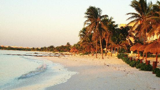 Local Quickies-普拉亚德尔卡曼必去景点