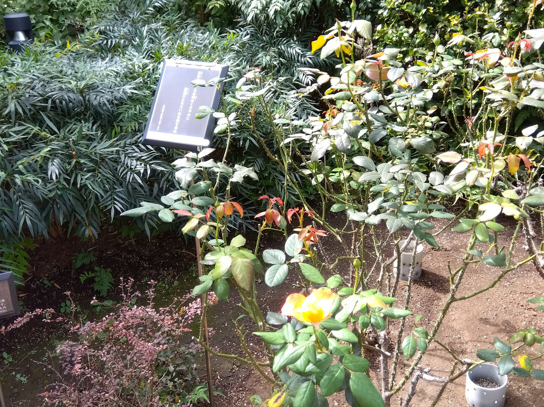 Nemunoki Garden-品川区必去景点