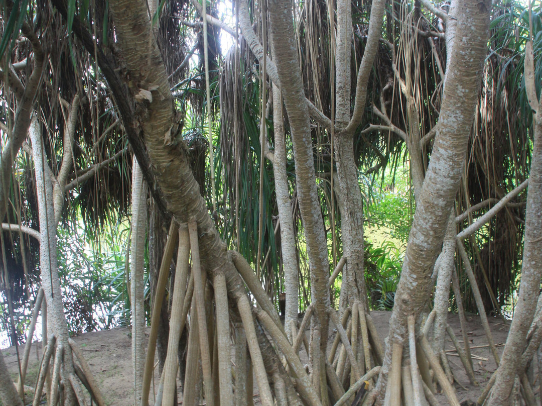 素里亚度假酒店主图