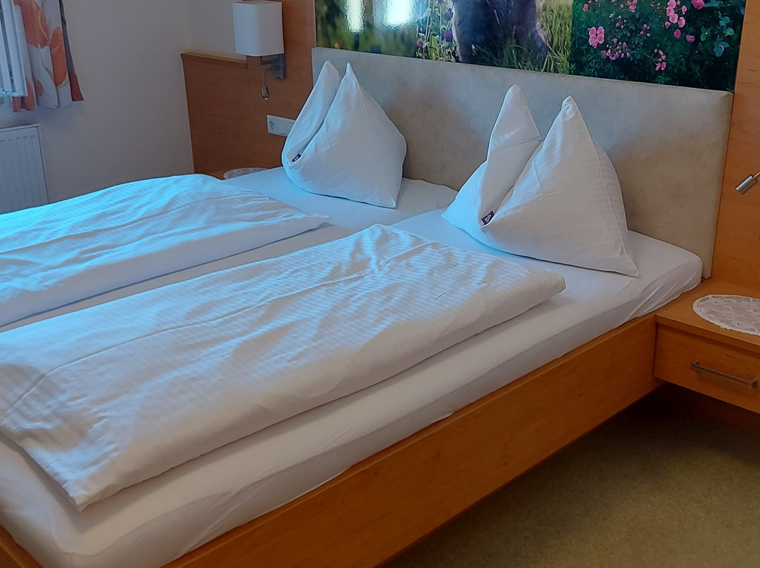 Hotel Zum Schwan主图