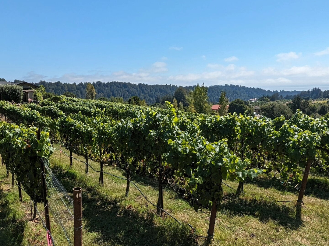 Soquel Vineyards-Soquel必去景点
