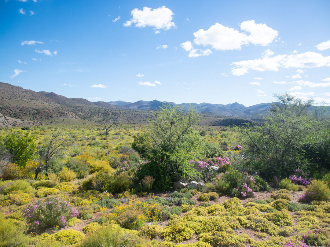 Sanbona Wildlife Reserve主图