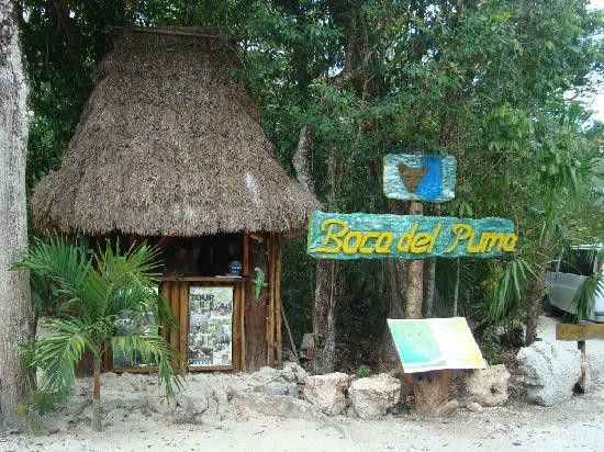 Boca Del Puma-从莫雷洛斯港必去景点