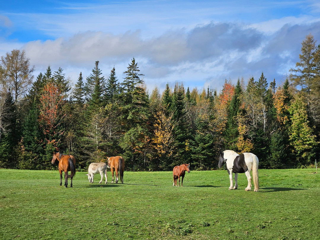 The Inn At Oxbow Acres主图