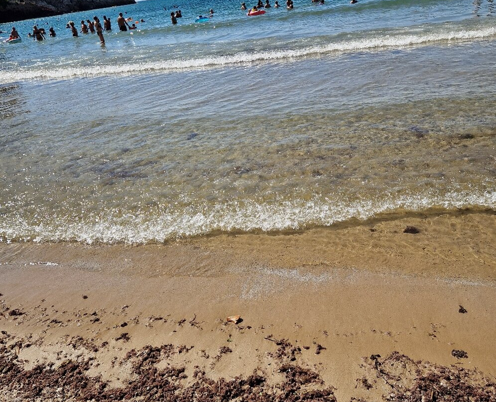 Platja dels Capellans景点图片