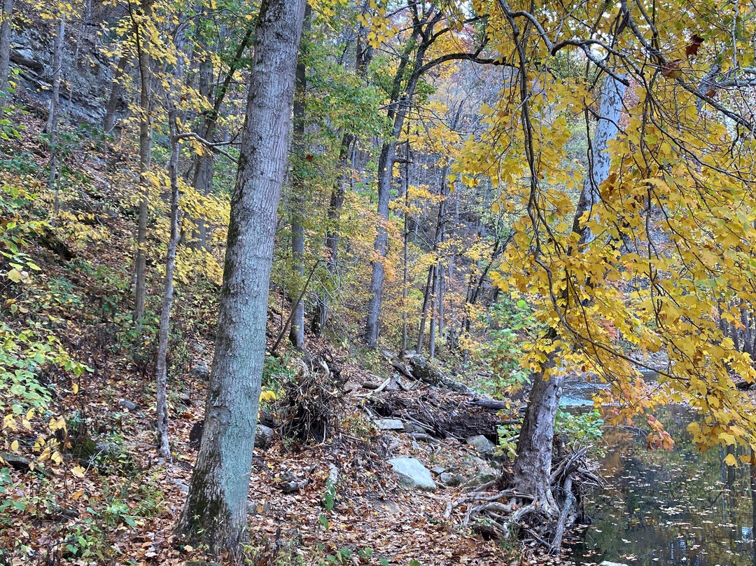 Cedar Bluffs Nature Preserve-布卢明顿必去景点