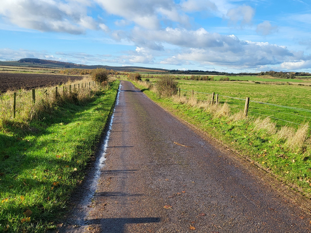 The White Swan Inn主图