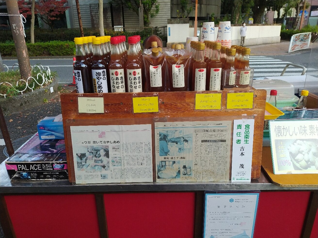 Sunday Market-高知市必去景点