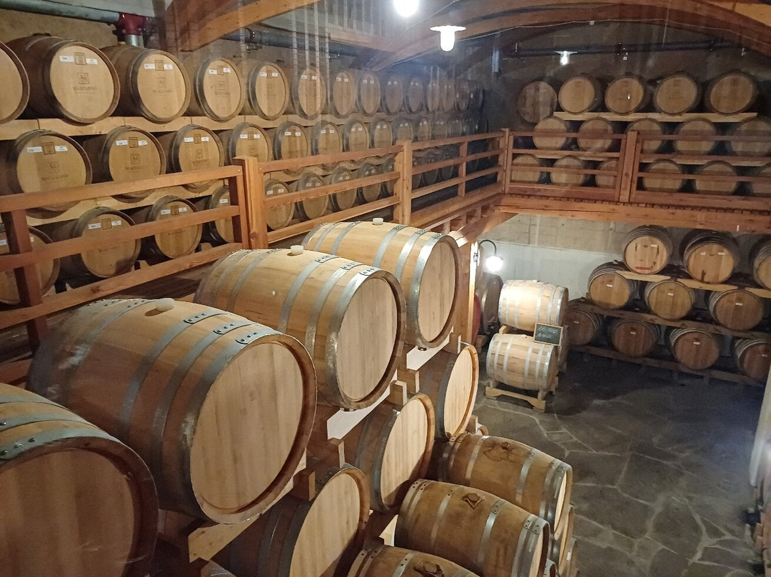 Distilleria Marzadro-Nogaredo必去景点