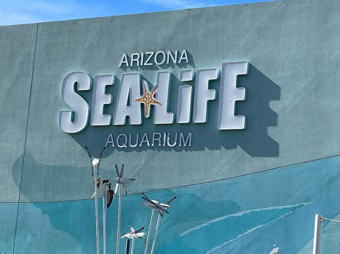 SEA LIFE Arizona Aquarium景点图片