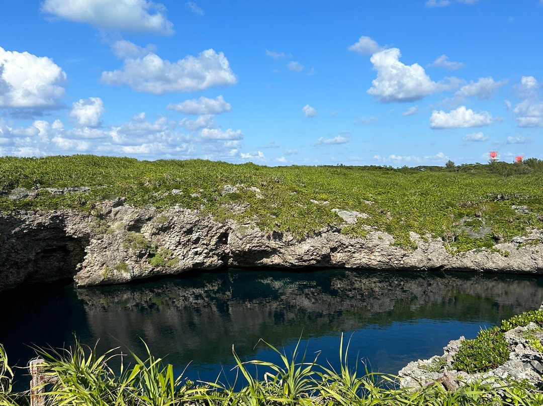 Toriike Pond景点图片