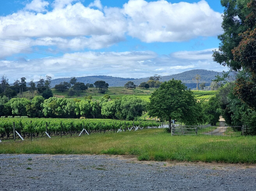 Iron Pot Bay Vineyard-Rowella必去景点