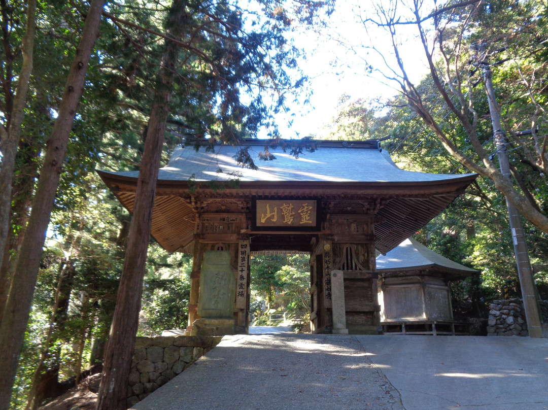Kakurin-ji Temple Niomon景点图片