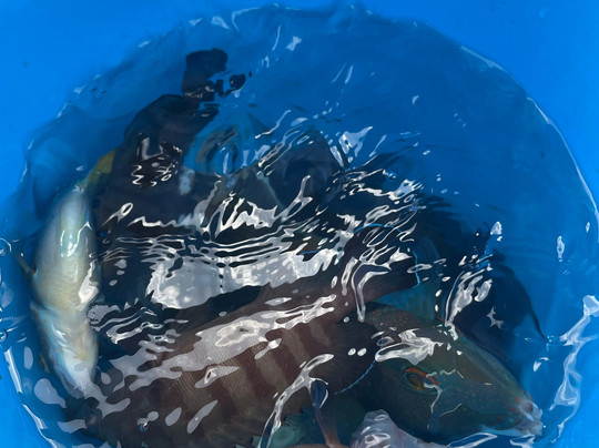 Telunas Private Island主图