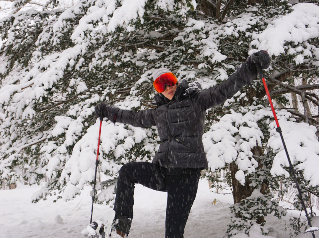 Niseko Snowshoe Tours-俱知安町必去景点