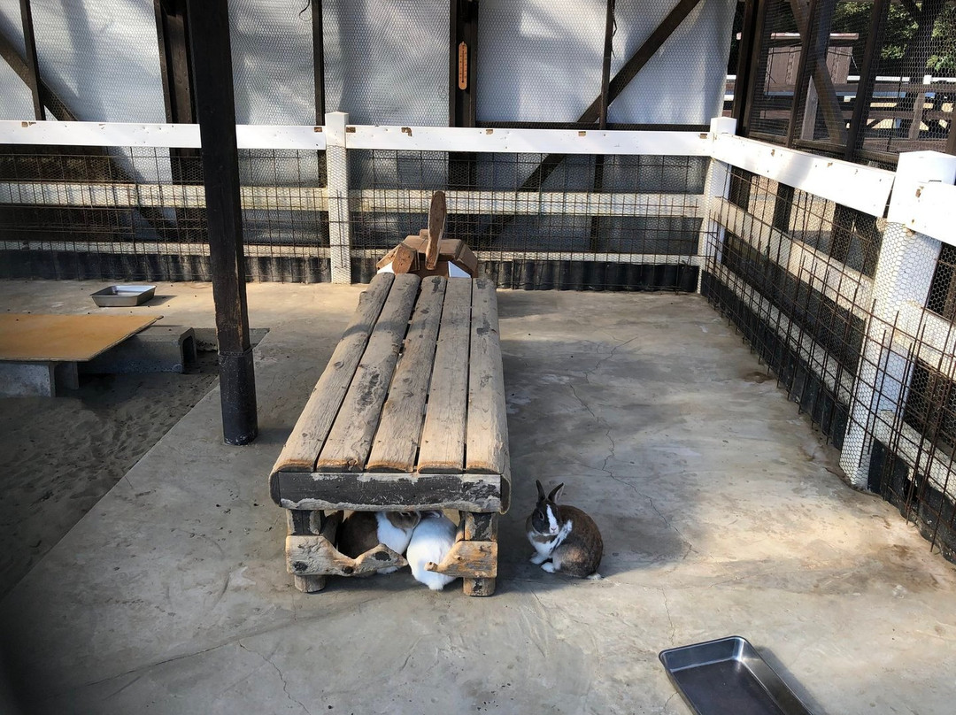 Hotel Blueberry Hill Katsuura主图