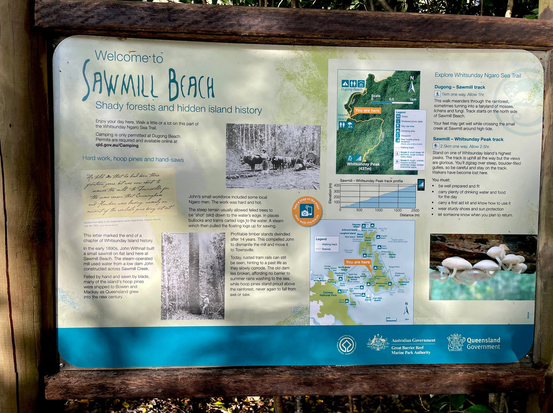 Sawmill Beach-圣灵群岛必去景点