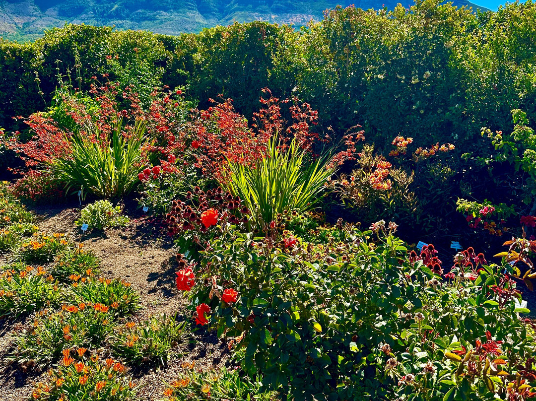 Constantia Uitsig Wine Estate-康士坦提亚必去景点