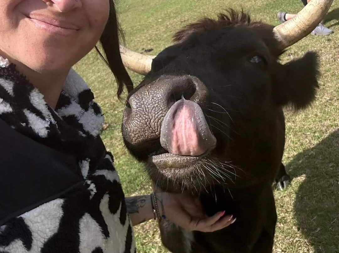 Rooterville Animal Sanctuary-Melrose必去景点