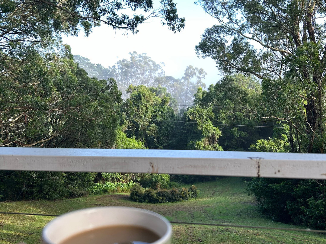 The Drawing Rooms of Berry主图