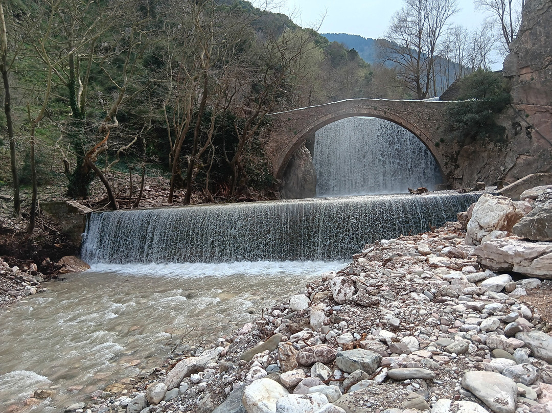 Palaiokarya’s Stone Bridge景点图片