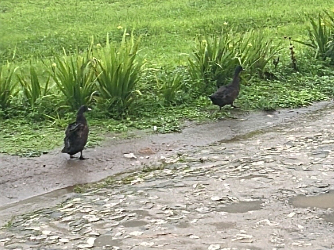 Sítio São Luís-Pacoti必去景点