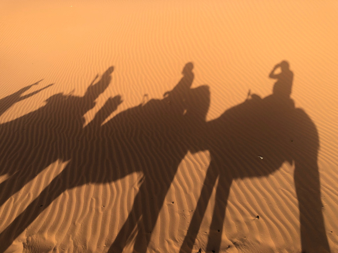 Iconic Morocco Tours-非斯必去景点