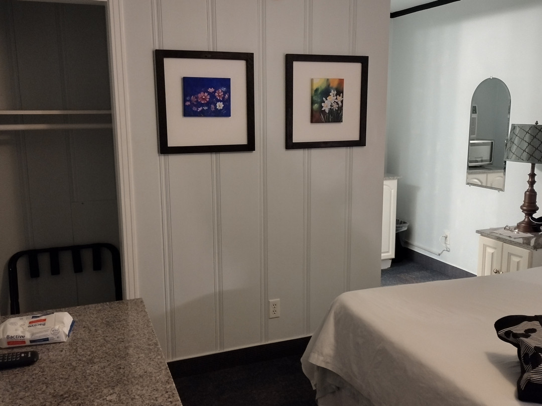 Murray Inn and Art Gallery主图