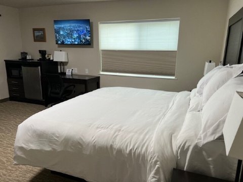 Eagle River Lodge-客卧