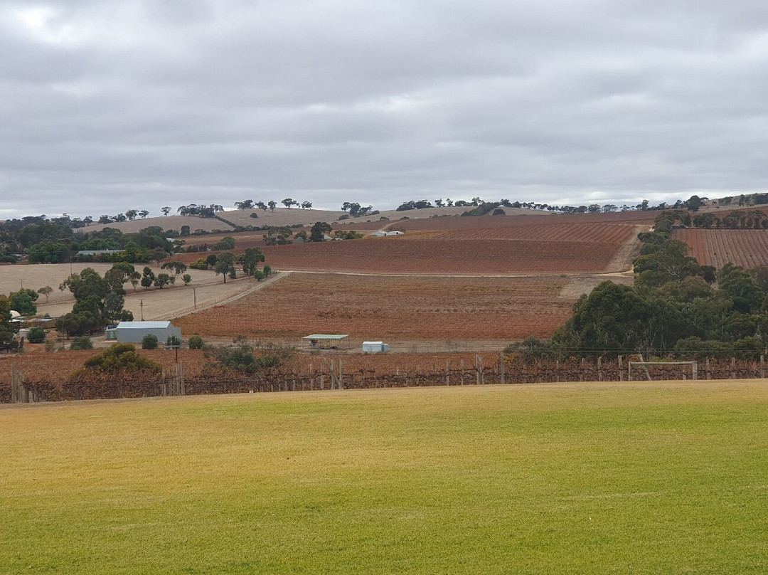 O'Leary Walker Wines Clare Valley景点图片