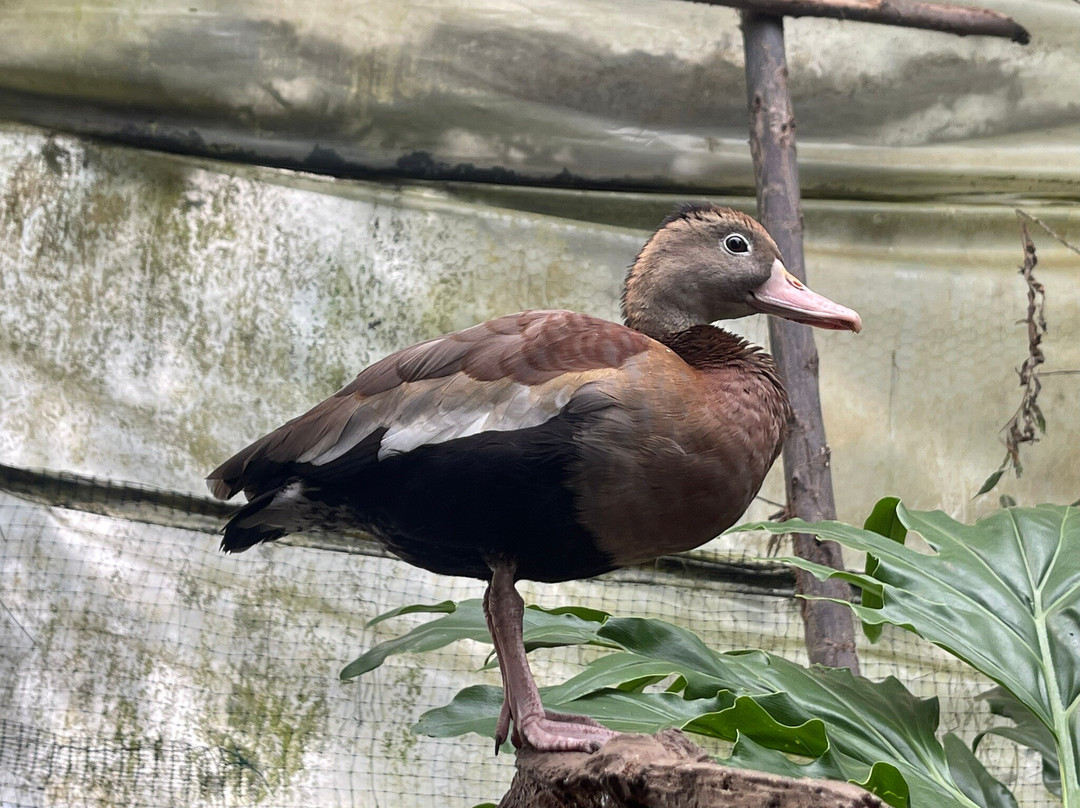 Bioparque La Reserva-Cota必去景点