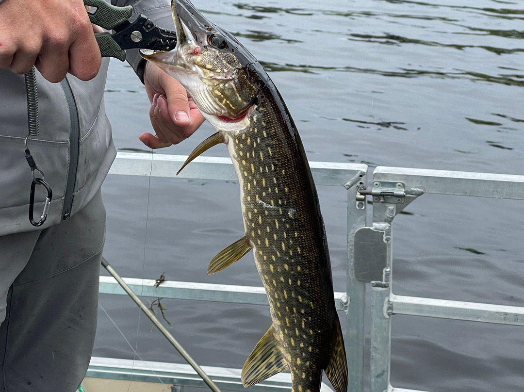 Deshka Landing Charters & Lodge主图