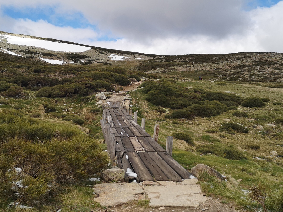 Parque Regional de la Sierra de Gredos景点图片