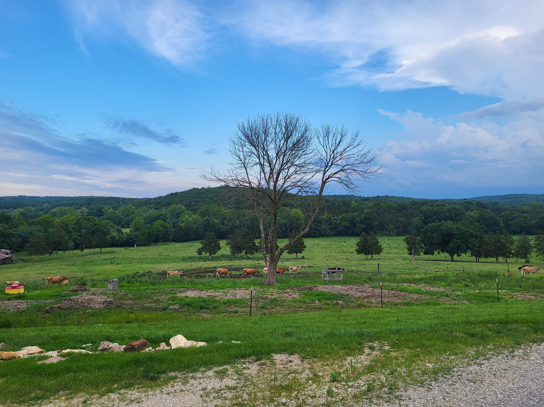 Brinkman Farmstead Bed and Breakfast主图