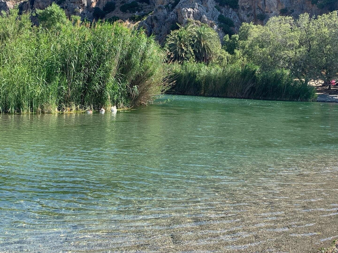 Preveli Crete - Dionysos Tavern & Rooms主图