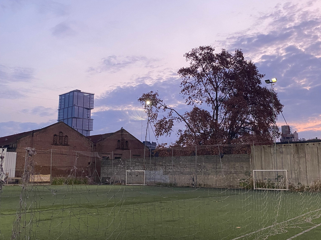 FC BAFA (Buenos Aires Futbol Amigos)-布宜诺斯艾利斯必去景点